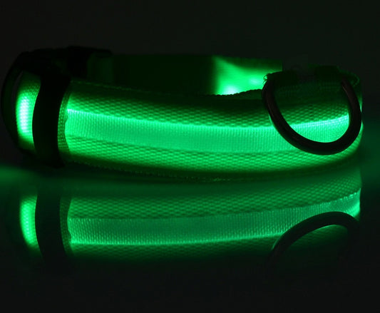 Collare LED Luminoso per Cani e Gatti – 7 Colori
